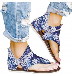 Sandal for Women Wedge Heel Casual Summer Ankle Buckle Strap Zip Up Beach Comfort Sandals for Womens Blue $12.20 Sandals