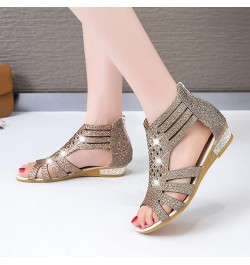 Sandals for Women Casual Summer Womens Summer Casual Platform Sandals with High Heel Beach Sandals Espadrille Platform Z4-glo...