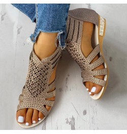 Sandals for Women Casual Summer Womens Summer Casual Platform Sandals with High Heel Beach Sandals Espadrille Platform Z4-glo...