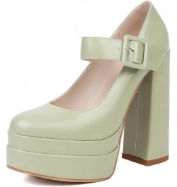 Womens Platform Chunky High Block Heels Ankle Strap Buckles Wedge Dress Pumps 12 Green $23.08 Pumps