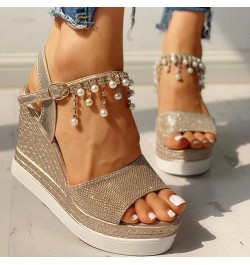 Wedge Platform Sandals for Women, Buckle Ankle Strappy Open Toe Espadrilles Sandals Bohemia Beaded Comfort Beach Sandals D001...