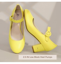 Women's Candy Dress Mary Jane Shoes Low Block Heels Closed Round Toe Office Work Church Wedding Pumps Lemon Pu $21.12 Pumps