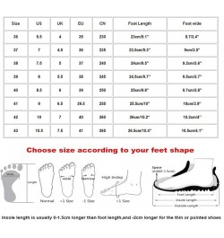 Ankle Strap Sandals for Women, Clip Toe Ankle Buckle Flats Sandals Casual Dressy Womens Sandals, Black Sandals Women Comforta...