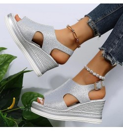 Women's Wedge Sandals Women's Open Toe Breathable Beach Sandals Roman Flip Flops Casual Wedges Shoes Z 04-silver $17.25 Sandals