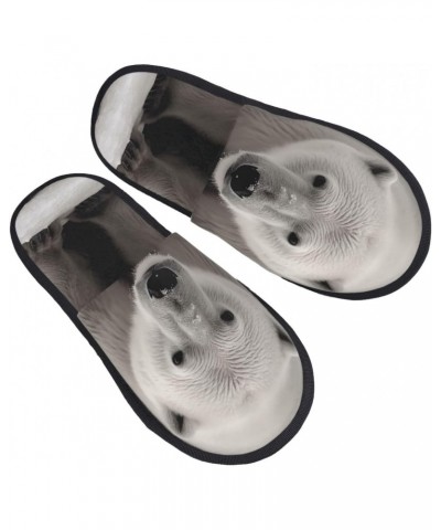 Polar Bear Fuzzy Slippers for Women Men Soft Plush Slippers Casual House Slippers Indoor Medium $13.30 Slippers