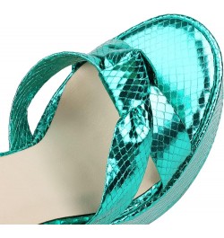 Womens LC1198 Wedding Sexy Novelty Plastic Low Chunky Heeled Sandals Green $37.94 Sandals