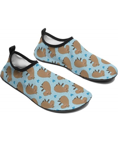 Capybara Daydream Water Shoes Barefoot Aqua Pool Socks for Beach Swim Walking Capybara Daydream $19.79 Athletic Shoes